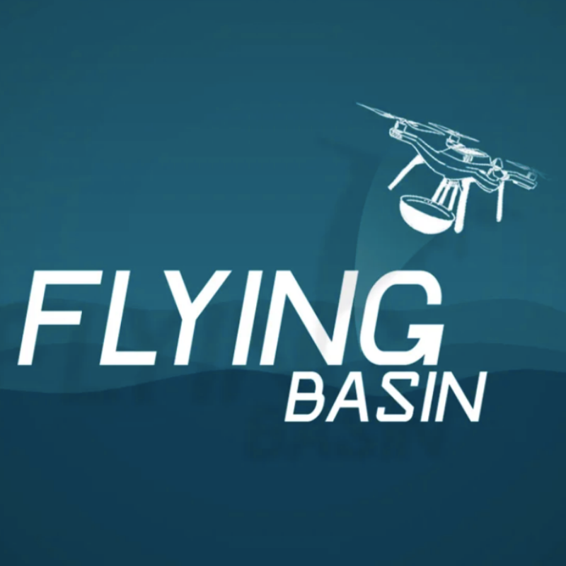 Web Development Services for Flying Basin - WATConsult